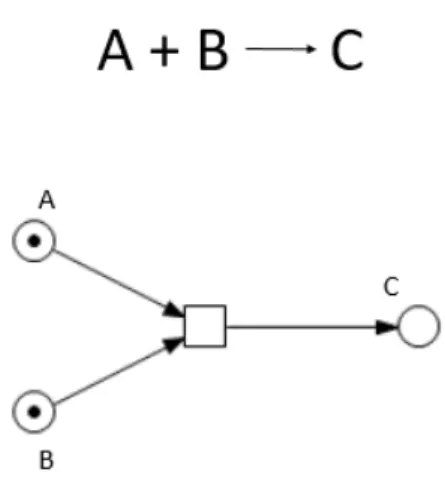 Figure 1.4: Example of a second-order reaction and corresponding Petri net. The figure represents a reaction system in which a molecule of A and a molecule of B react to produce a molecule of C