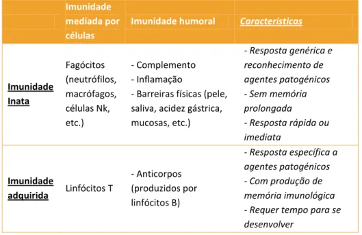 Tabela  1:  Classificação  simplificada  dos  componentes  do  sistema  imunitário  do  vitelo (Adaptado de Abuelo, 2019)