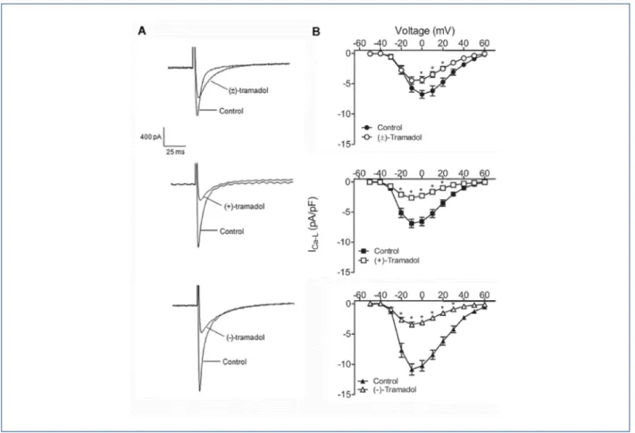 Figure  1  –  Effects of tramadol and enantiomers on L-type Ca2+ current (I Ca-L ) in isolated rat ventricular myocytes