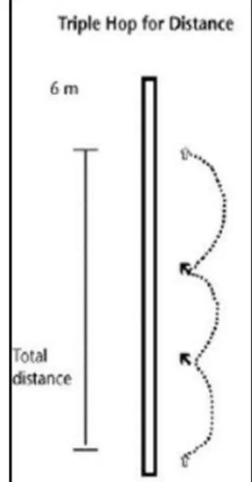 Figura 8b: Representação  esquemática do Salto Triplo Figura 8a: Representação 