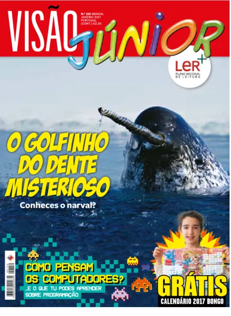 Fig. 14 VISÃO Júnior