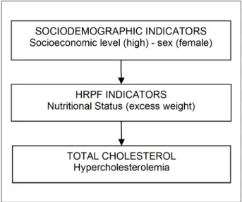 Figure  2  - Final theoretical model after multivariate analysis between total  cholesterol and associated factors among schoolchildren in Caxias do Sul,  Brasil, 2007.