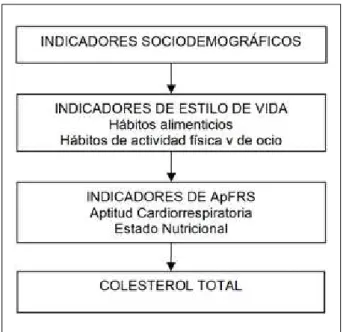 Tabla 1 - Descripción de los resultados referentes a las variables  estudiadas en escolares de 7 a 12 años de edad de Caxias do Sul  (RS), 2007 Variable n % (IC95%) Dependiente Colesterol total Normalidad (&lt; 3ºT) 849 65,6 (63,0-68,2) Aumentado (≥ 3ºT) 3