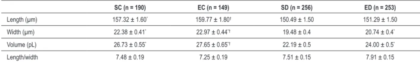 Table 1 - Body and ventricular weights and blood glucose levels of diabetic and control rats