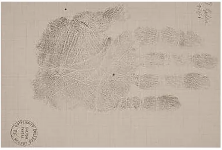 Figura 9  –  Registro da impressão da mão de Galton realizada pelo próprio