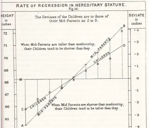 Figura 17  –  Linha de regressão construída por Galton ao observar a estatura de  pais e filhos 