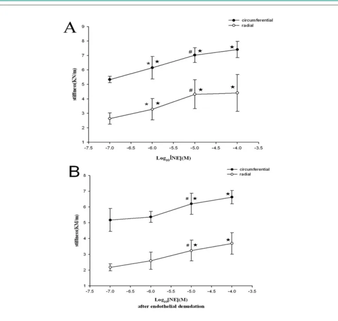Figure 2 - Concentration-Response Curves to NE. Concentration-dependent changes in stiffness (mean ± SD) of porcine mitral valve specimens in response to (A)  norepinephrine (NE) alone, and (B) NE + endothelial denudation in the radial and circumferential 