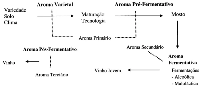 Figura  4  -  Relação  das  diferentes  etapas  de  vinificação  com  o  tipo  de aroÍnas.