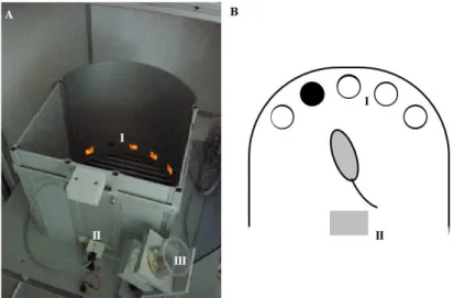 Figure 3 ‐ Decision‐making can be evaluated using the MGT performed in the 5‐Hole Box. Animals select their  option  by  performing  a  nose‐poke  in  the  apertures  (I)  and  collect  the  rewards  (pellets)  on  an  aperture  on  the  opposite wall (II)