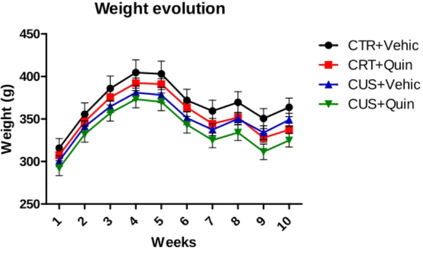 Figure 7 ‐ Animals submitted  to CUS present a smaller increase in their body weight, when  compared  to CTR  groups. 