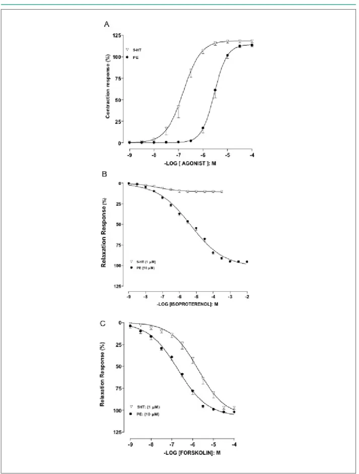 Figure 1 -  Concentration-response curves to phenylephrine (•PE, n = 10) and 5-hydroxytryptamine (∇5-HT, n = 08) in rat femoral artery (panel A)
