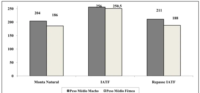 Gráfico 3- Peso médio/kg dos bezerros Monta Natural/IATF/Repasse 