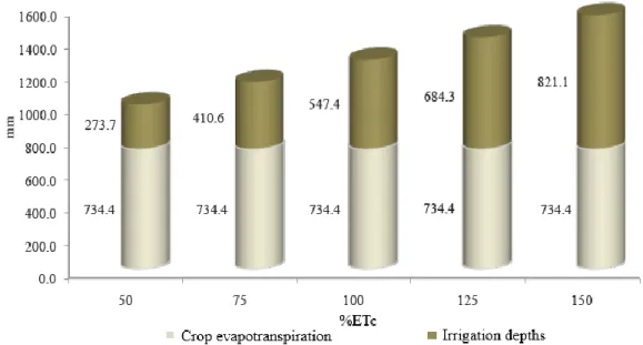 Figure 1.  Irrigation  depths  required  by  the  crop  based  on  the  ETc  and  depths  applied  in  the  different irrigation treatments along a production cycle.