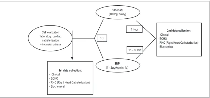 Figure 2 – Study design.