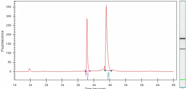 Figure 3.1: Good quality total RNA analyzed on the Agilent 2100 Bioanalyzer using the RNA 6000  Nano Assay