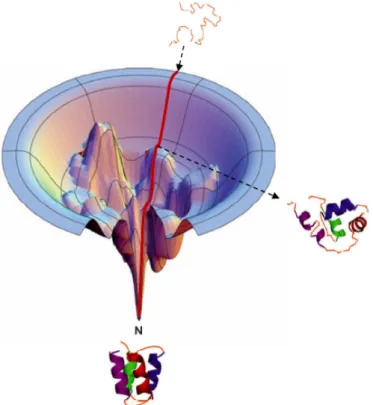 Figure 1.3: Three-dimensional representation of the folding funnel. From ref.