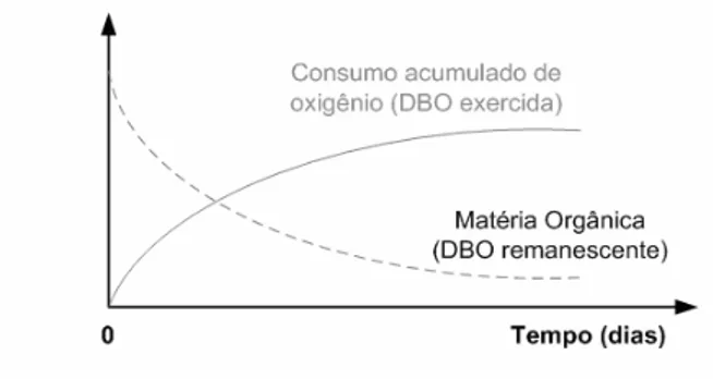 Figura 4 – Progressão temporal da oxidação da  matéria orgânica (adaptado de Sperling, 1996)