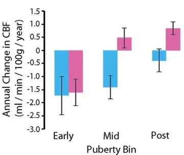 Figura 4  – Impacto da puberdade sobre padrões específicos do sexo das mudanças 