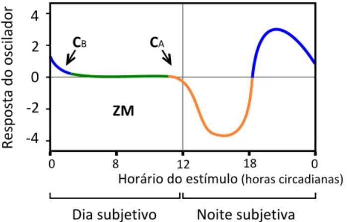 Figura 2. Curva de Resposta de Fase, CRF. A curva apresenta  respostas do oscilador em função do horário em que um  estímu-lo luminoso é ministrado