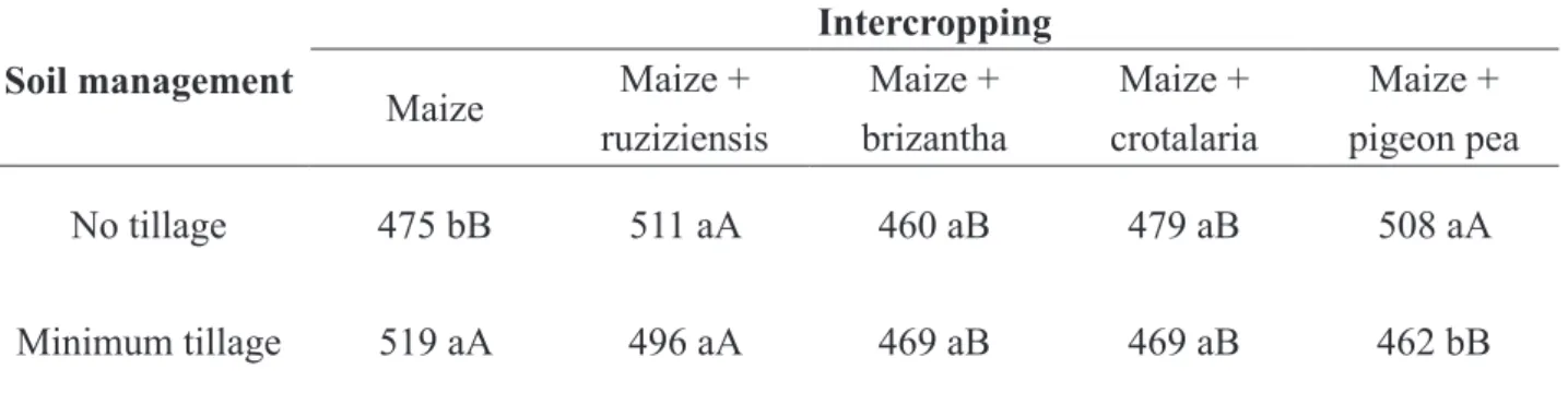 Table 6. Unfolding of significant interaction between soil management and maize intercropped for  the number of kernels per ear in the 2015/16 crop season