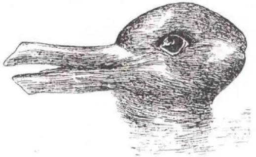 Figura 1. O pato-coelho. Ver é perceber algo a partir de uma  perspectiva cognitiva e socialmente orientada