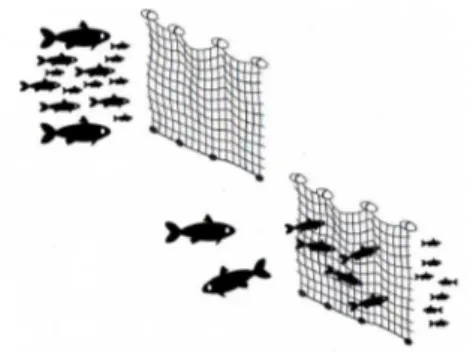 Figura 2. Uma rede de pesca, com sua malha característica, como  uma metáfora do sistema cognitivo coletando informações