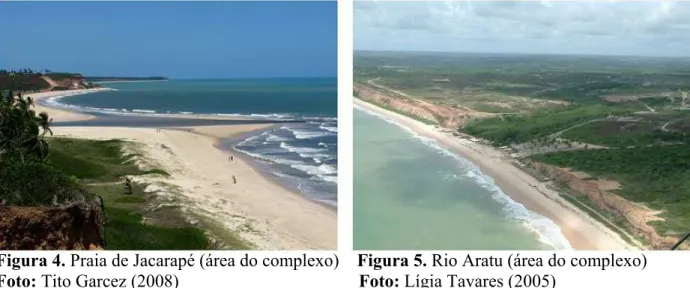 Figura 4. Praia de Jacarapé (área do complexo)    Figura 5. Rio Aratu (área do complexo)  Foto: Tito Garcez (2008)                                        Foto: Lígia Tavares (2005) 