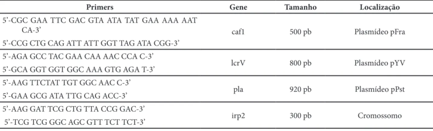 Figura 1. Análise dos produtos por ribotipagem-PCR de culturas  de Y. pestis. Linhas 1: “100 bp DNA ladder”, 2: P