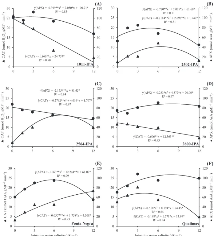 Figure 4. Activity of catalase (CAT) and ascorbate peroxidase (APX) in grain sorghum varieties subjected  to different levels of irrigation water salinity