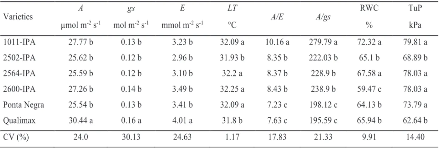 Table 1. Averages of photosynthetic rate (A), stomatal conductance (gs), transpiration rate (E), leaf temperature  (LT), instantaneous (A/E) and intrinsic (A/gs) water use efficiencies, relative water content (RWC) and turgor  potential (TuP) in grain sorg