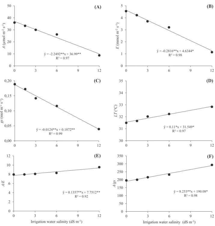 Figure 1. Photosynthetic rate – A  (A), transpiration rate – E (B), stomatal conductance – gs (C), leaf temperature  – LT (D), and instantaneous – A/E (E) and intrinsic – A/gs (F) water use efficiencies in grain sorghum varieties  subjected to different sa