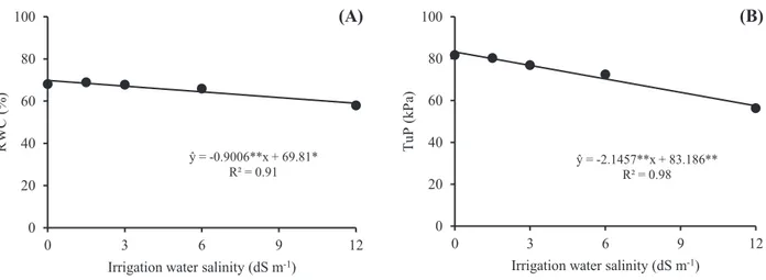 Figure 2. Relative water content (RWC) (A) and turgor potential (TuP) (B) in grain sorghum varieties subjected  to different levels of irrigation water salinity