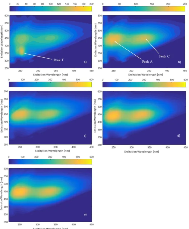 Figure 3. Fluorescence excitation–emission matrices (EEMs) of SAS DOM samples after acidification; 