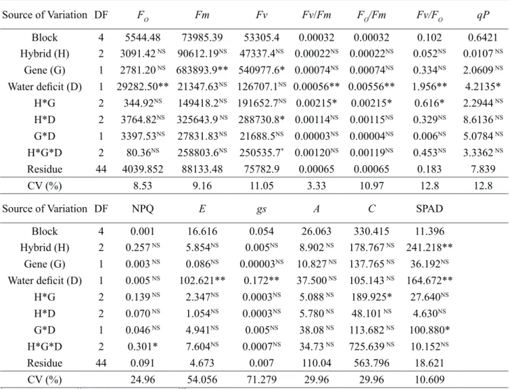 Table 7. Summary of the analysis of variance for minimal fluorescence (Fo), maximal fluorescence  of  dark-adapted  sample  (Fm),  variable  fluorescence  (Fv),  maximum  photochemical  efficiency  of the photosystem II (PSII) (F v /F m ), basal quantum yi
