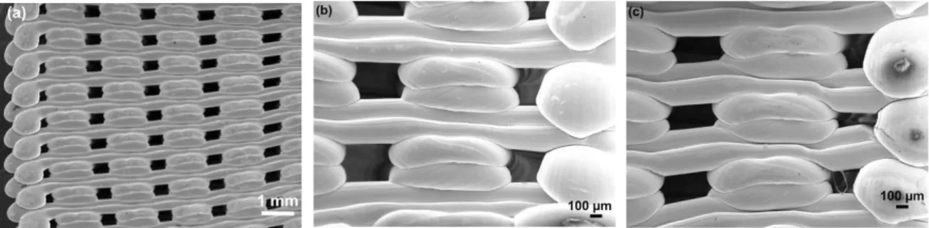 Fig. 5. Low magnification images of 2xOrtho scaffolds (side view) after 3600 cycles at 14.5 MPa maximum stress: a) general view; b) sample  region where normal deformation appears to dominate; c) sample region where shear deformation appears to dominate