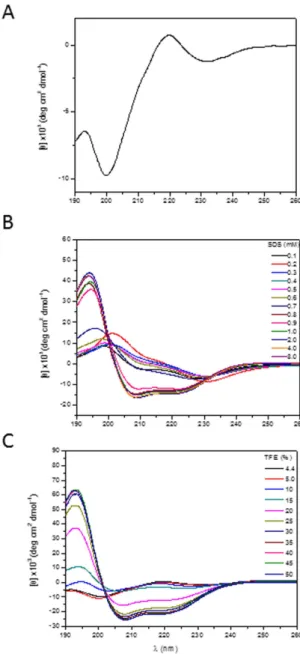 Figure 3.  Circular dichroism spectra of 41 μM clavanin A, pH 5.0, at 25 °C. Spectra are in aqueous solution  (A), and in different concentrations of SDS (B) and TFE (C).