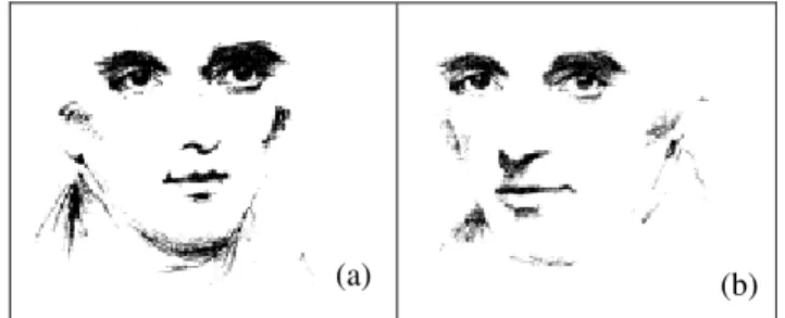 Figura 9. Influência da orientação da cabeça sobre a direção do olhar   ilustrada por Wollaston