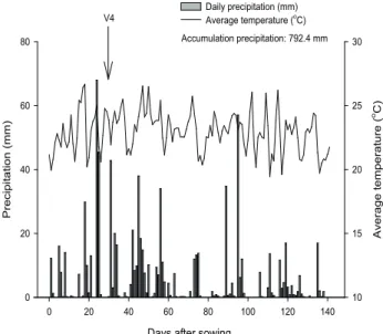 Figure 1.  Daily and cumulative precipitation values  and average temperature recorded during the period  when the experiment was conducted (from 29 Nov  2017 until 19 Apr 2018) in the experimental station  of EPAGRI Araranguá – SC