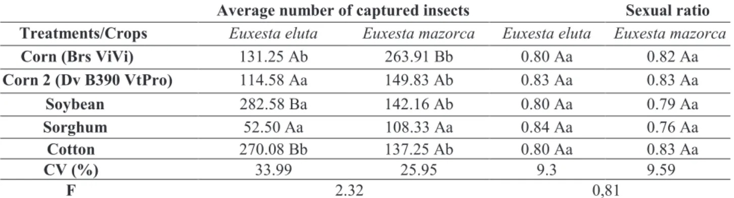 Figure 1. Euxesta eluta population peaks during polyculture in the experimental fields of Embrapa in Sete Lagoas, MG 