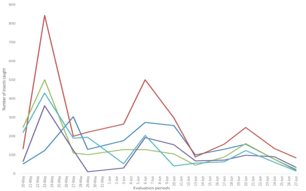 Figure 2. Euxesta mazorca population peaks during polyculture in the experiment fields of Embrapa in Sete  Lagoas, MG.