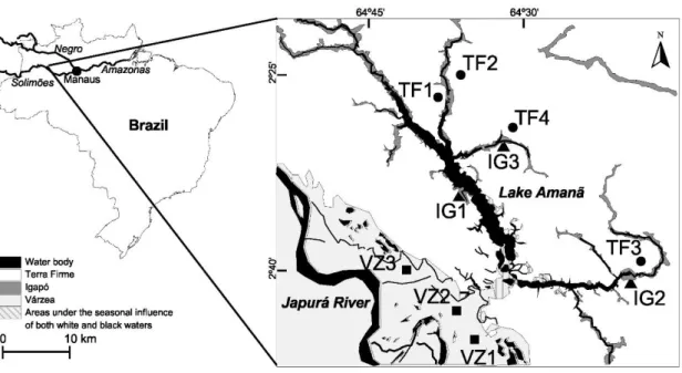 Figure 2.1  Location of sampling sites (TF – terra firme, VZ – várzea, IG – igapó). The southern  part of the lake usually has black water but can temporarily receive white waters