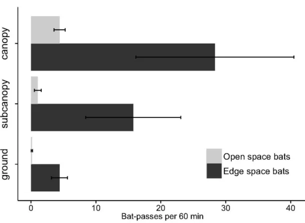 Figure 3.3  Activity of open space and edge space bats in the canopy, subcanopy and ground  strata, at the forest interior sites