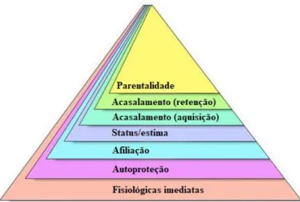 Figura 2 - Reformulando a pirâmide das necessidades   Fonte: Adaptado de Cunha [et al.] (2016) 