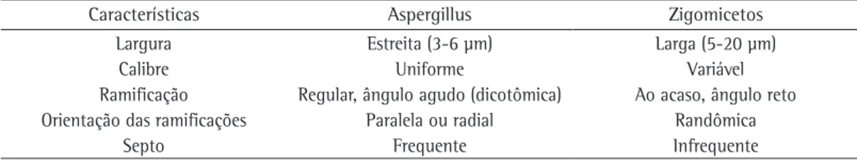Tabela 2 - Características histomorfológicas de  Aspergillus  sp. e zigomicetos.