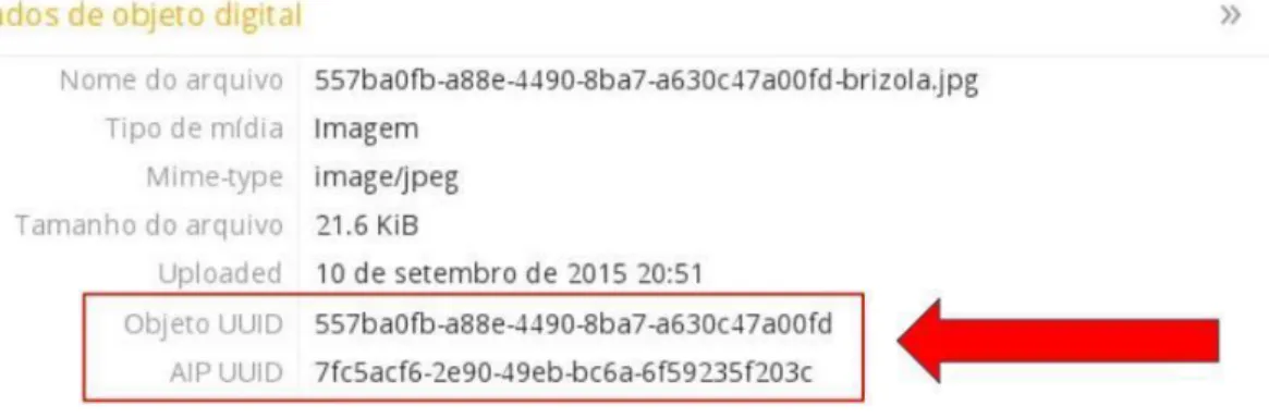 Figura 2 - Metadados dos objetos digitais
