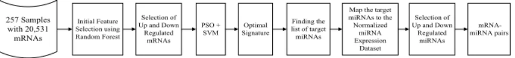 Fig. 1 A block diagram representation of the proposed workflow