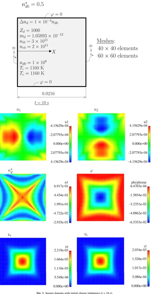Fig. 1. Square domain with initial charge imbalance (t = 10 s).