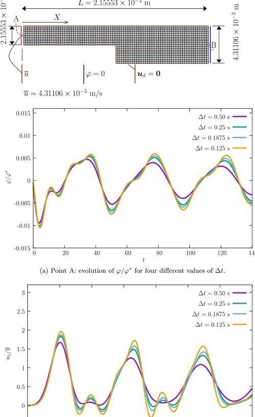 Fig. 3. Variable width slab: relevant data and results for u 1 and 