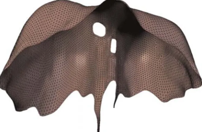 Figure 2. Triangular surface of the diaphragm obtained with Blender.