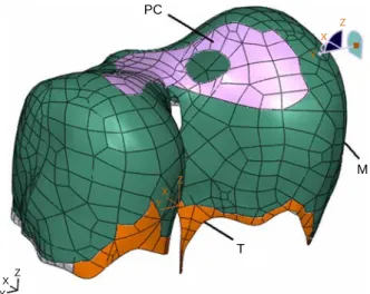 Figure 4. Hill’s three-element muscle model: SE, series (elastic) element; CE, contractile element; PE, parallel (elastic) element; T, nominal stress.